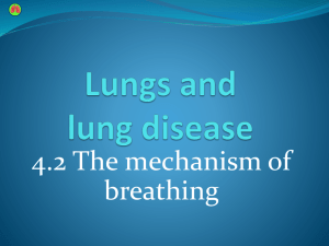 The Breathing System