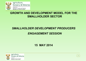growth and development model for the smallholder sector
