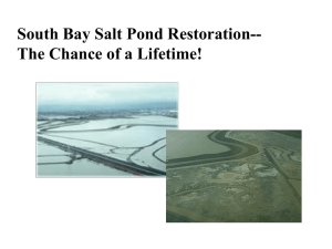 The Chance of a Lifetime! - South Bay Salt Pond Restoration Project