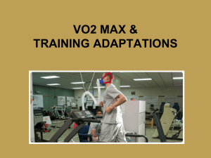 VO2 Max & Cardio Adaptations review