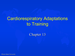 10. Cardiorespiratory Adaptations to Training.