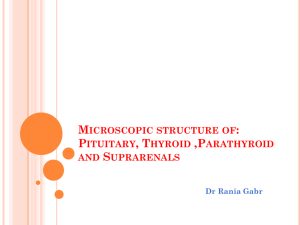 Microscopic structure of: Pituitary, Thyroid ,Parathyroid