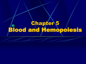 Chapter 5 Blood and Hemopoiesis