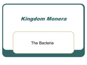 Bacteria - Ms. Racette's Wiki