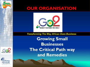 Growing Small Businesses The Critical Path way and Remedies