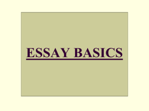 Essay Basics 2010