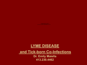 LYME DISEASE and Tick-born Co-Infections