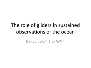 The role of gliders in sustained observations of the ocean