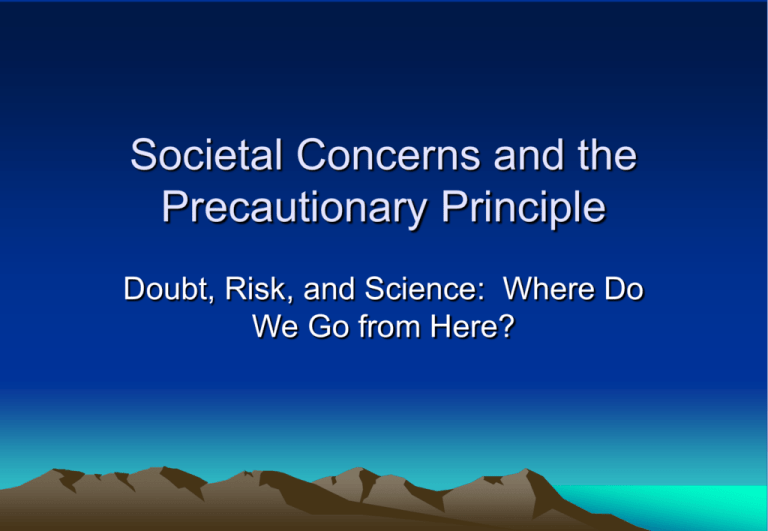 The Precautionary Principle