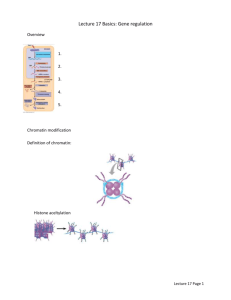 Lecture 17 Basics: Gene regulation Overview 1. 2. 3. 4. 5. Chromatin