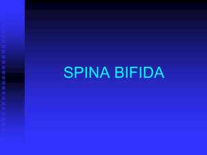 spina bifida - School of Medicine