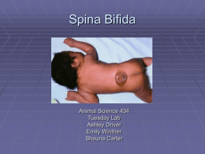 Spinal Bifida