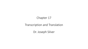Chapter 17 Power Point Silver