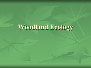 Woodland_Ecology