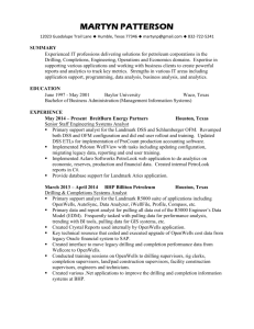 View MS Word Resume format