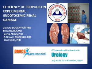 efficiency of propolis on experimental endotoxemic renal damage