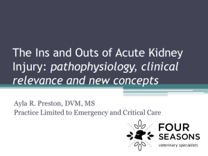 The Ins and Outs of Acute Kidney Injury: pathophysiology, clinical