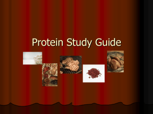 Protein Study Guide