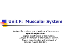Unit F: Muscular System - Catawba County Schools