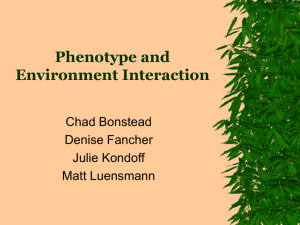 PowerPoint Presentation - Phenotype and