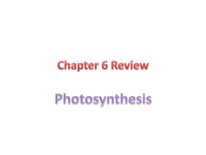 Chapter 6 study guide pp