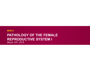 Pathology of the Female Genital Tract