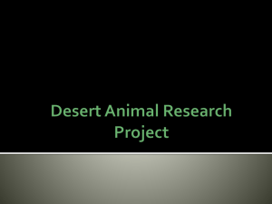 Desert Animal Research Project Introduction to Unit