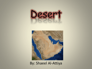 Desert - 17-087