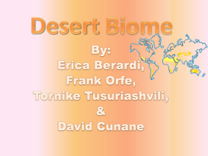 Desert Biome pd 1