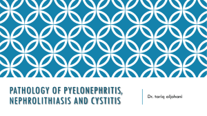 Pathology of pyelonephritis, Nephrolithiasis and Cystitis