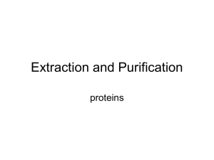 Extraction and Purification of Enzymes