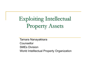 Exploiting Intellectual Property Assets