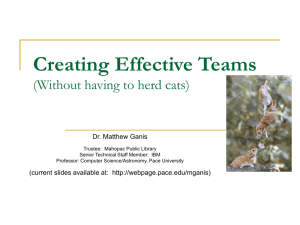 Creating Effective Teams (some snappy subtitle)