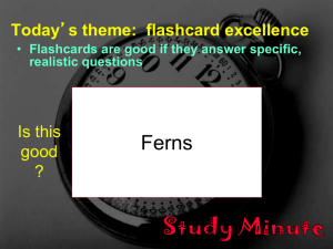 Flashcard Excellence