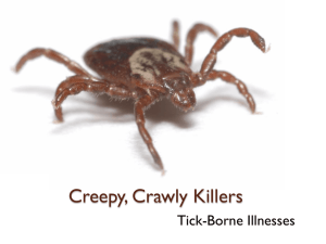 Ticke-Borne Illnesses