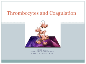 FIBThrombocytes & Coagulation