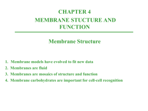 3. Membranes are mosaics of structure and function