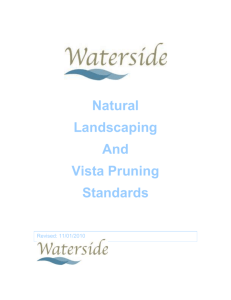 Natural Landscape and Vista Pruning Standards
