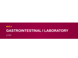 Gastrointestinal Pathology Lab I