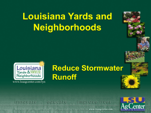 Louisiana Yards and Neighborhoods Reduce