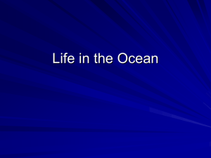 Life in the Oceans