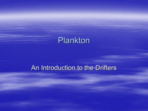 Plankton The Drifters