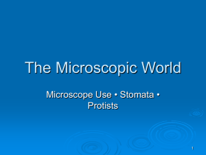 The Microscopic World