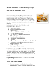 Hearty Santa Fe Pumpkin Soup Recipe