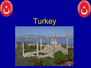 Turkish Political Structure