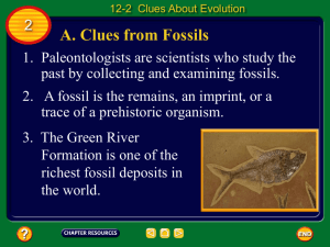 Ch 12 - 2 Clues about Evolution