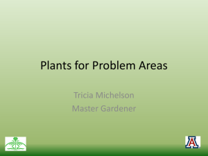 Plants for Problem Areas