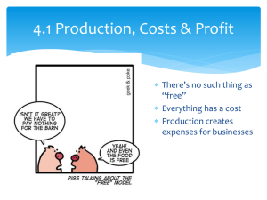 Production, Costs & Profit.PPT