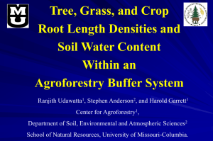 Soil Water Content and Infiltration in Agroforestry Buffer