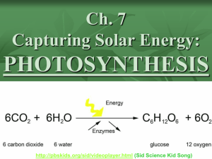Introduction to Photosynthesis - River Dell Regional School District